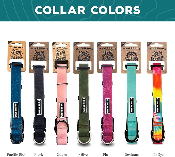Wilderdog Waterproof Dog Collar - Repels Water & Dirt - Medium 13"-18" - Black