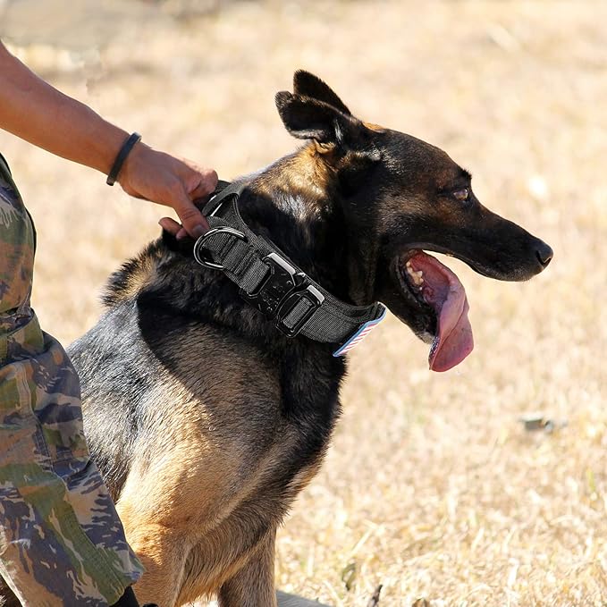 Tactical Military Collar - Adjustable Nylon, Heavy Duty Metal Buckle with Handle for Dog Training, with Patches (L, Black)