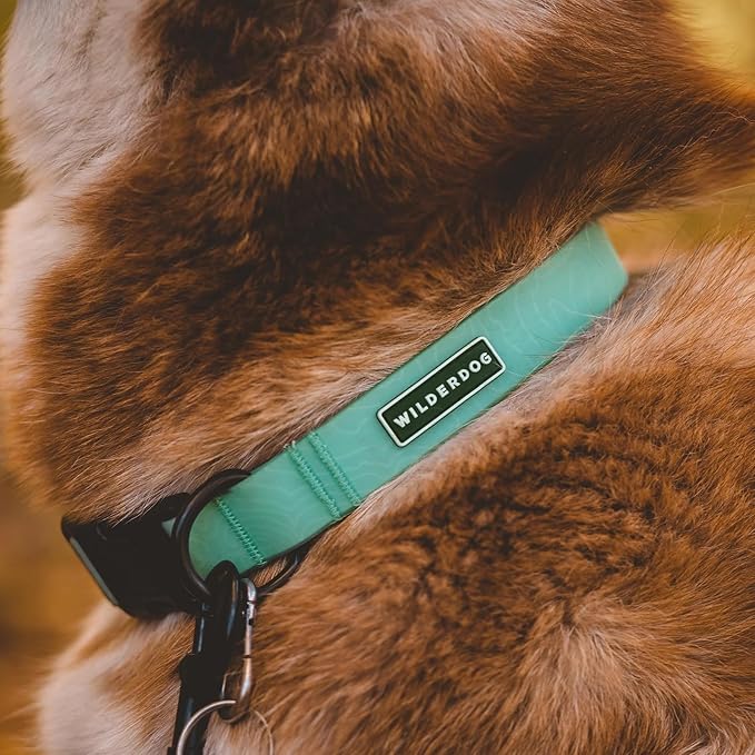 Wilderdog Waterproof Dog Collar - Repels Water & Dirt - Large 17"-24" - Seafoam