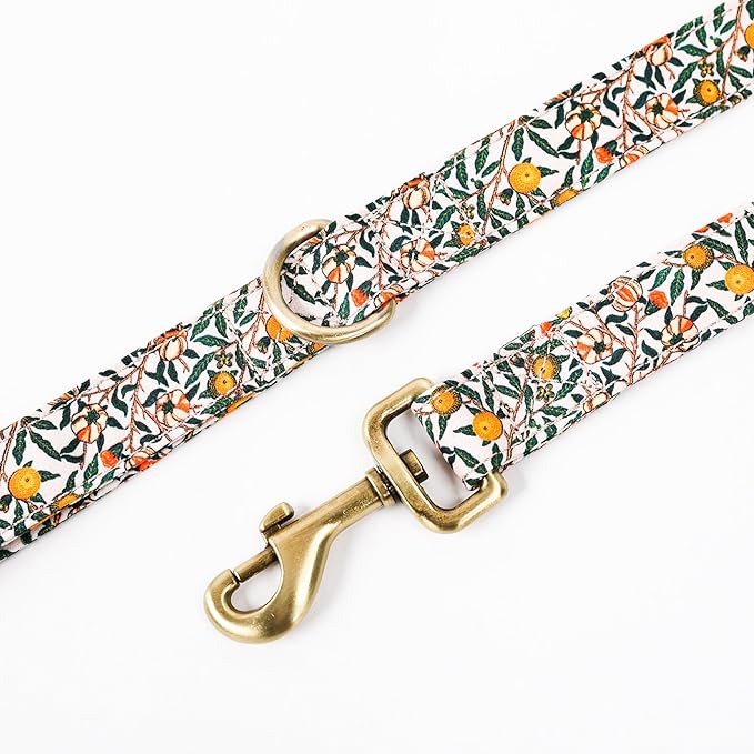 Organic Cotton Dog Leash for Small,Medium and Large Breed,Brass Hardware Pet Leash for Walking,Running and Training 6FT