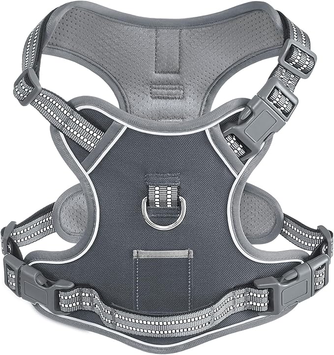 No-Pull Adjustable Dog Harness for Small Dogs,Easy Control with Handle, Havanese Chihuahua Puggle, Inescapable, Ez Walking, Safe Reflective Strips, No Rub,No Choke, Gray, S
