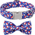 Lionet Paws Design Dogs Collar Cute Adjustable 4th of July Collars for Boy Male Small Medium Dogs with Sundae L