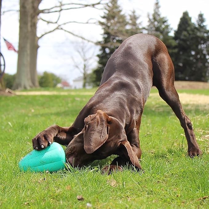 Chew King by Mammoth Premium Treat Dispensing Dog Toy, Durable Natural Rubber Chew Toy, Safety Air Vent, Interactive Enrichment Toy for Aggressive Chewers, XL Pack of 2- Teal