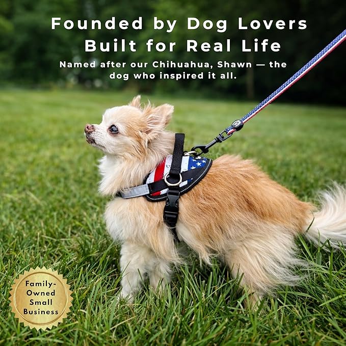 ShawnCo Essential Dog Harness, No-Pull Pet Vest with 3 Leash Clips, No Choke, Reflective, Adjustable and Padded, for Easy Walking and Training for Small, Medium and Large Dogs (Midnight, S)