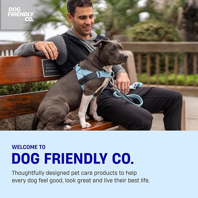 DF Co. Dog Harness | Chafe Resistant Webbing, Adjustable Neck & Chest, and Heavy Duty D-Ring | Sturdy, Comfortable, Easy to Use | Sky Blue, Size XL
