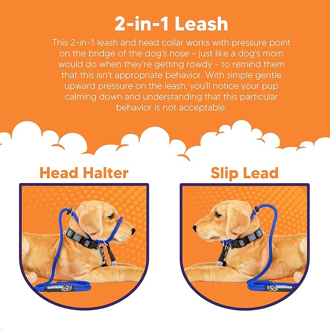 Heather's Heroes Sidekick Leash