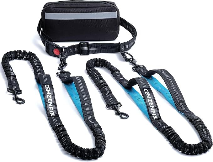 Hands Free Dog Leash for 2 Dogs – Waist Leash for Dog Walking with Dual Bungee, Reflective No Pull Design, Adjustable Belt & Pouch for Running, Hiking, Jogging