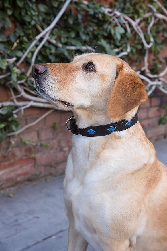 Gaucho Goods Soft Leather Dog Collar - Tahoe (M)