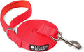 Leash Boss 15 Foot Dog Leash with Padded Handle - Long Leash for Hiking, Camping, Exploring, or Walking (15 Feet, Orange)