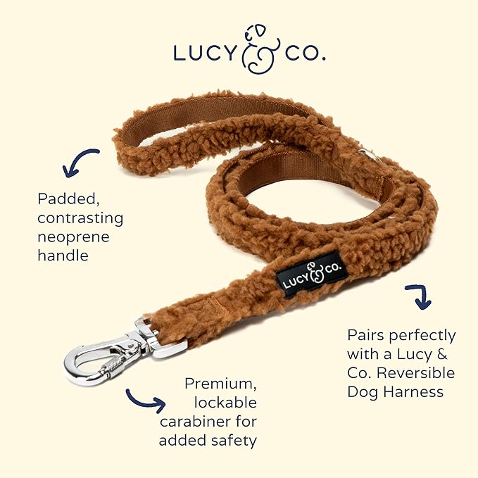 Lucy & Co. 5 Foot Dog Leash - Best Designer Leashes for Dogs, Puppy Accessories Supplies (Large, Teddy Brown), The Cinnamon Teddy Leash