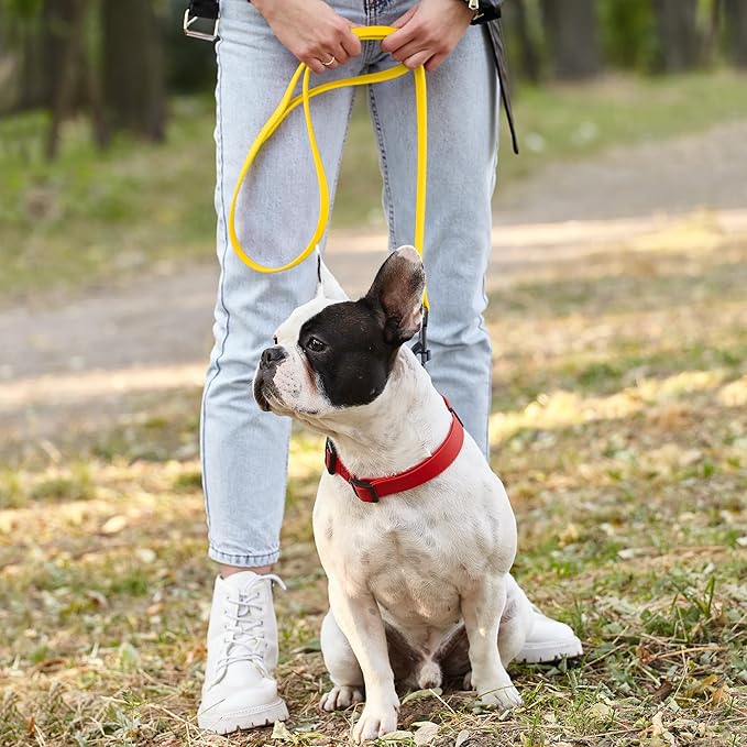 Dogline Biothane Waterproof Dog Leash Strong Coated Nylon Webbing with Black Hardware Odor-Proof Easy to Clean High Performance for Small or Large Dogs Made in USA 4 or 6 ft Lead, Lemon Yellow