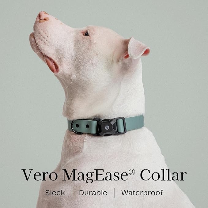 2026 New Edition, Fei & Eve PVC MagEase Dog Collar - Patented Magnetic Buckles | Fur-Safe | 450LB Escape-Proof | Adjustable Fit | Large (Glacier Green)