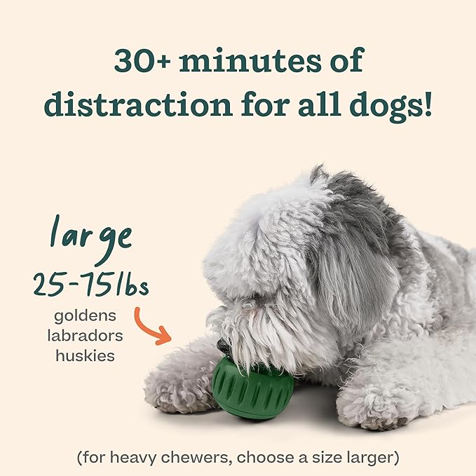 WOOF Pupsicle and Treat Tray - Long-Lasting Interactive Dog Ball Toy and Silicone Dog Treat Mold - Keep Your Pup Busy - Easy to Clean - Toys for Medium and Large Dogs 25-75 lbs