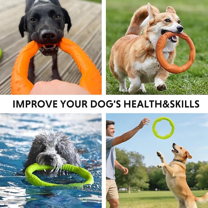 LaRoo Floatable Dog, Fetch Toy & Ring Tug Toy - Teething Relief, Catch, Water Fun, Pet Training Outdoor Durable Chew Toys for Small Medium Dogs (Orange)