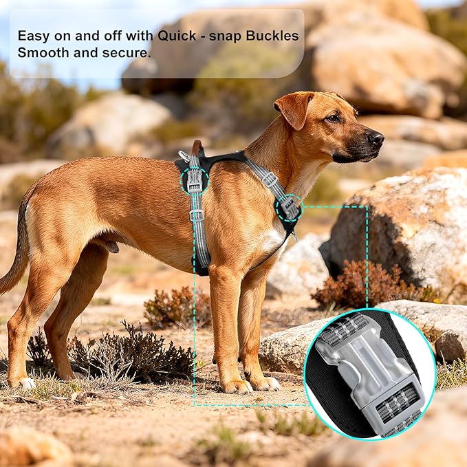 No Pull Dog Harness – Adjustable Reflective Nylon Vest for Small Medium Large Dogs, Escape Proof Training Harness with Leather Control Handle, Lightweight Aluminum Hardware (Black, L)
