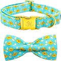 Elegant little tail Easter Dog Collar, Blue Chicken Eggs Print Dog Collar with Bow Puppy Collars Boy Pet Gift Puppy Bowtie Adjustable Pet Collars for X-Small Dogs