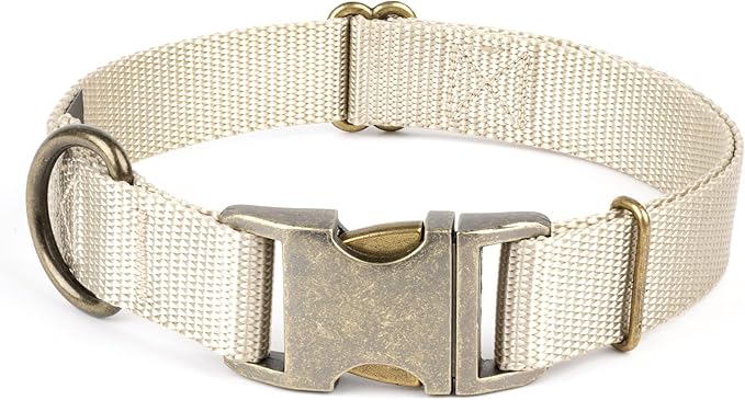 Country Brook Petz - Premium Nylon Dog Collar with Metal Buckle for Small Medium Large Breeds - 10+ Warm Colors (Small, 3/4 Inch, Almond)