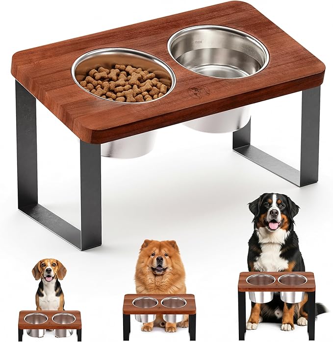 8.9" Tall Elevated Dog Bowls - Ergonomic Stainless Steel Dog Bowls with 10° Tilt in Acacia Wood Stand for Medium Breed