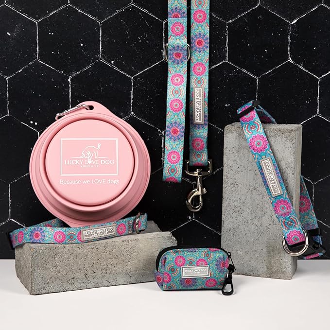 Lucky Love Dog Martingale Dog Collar & Leash - Adjustable, No-Slip, Durable, Comfortable, Soft Webbing, & Stylish Patterned Collar & Leash Set for Male and Female Dogs - Clara Combo, Medium