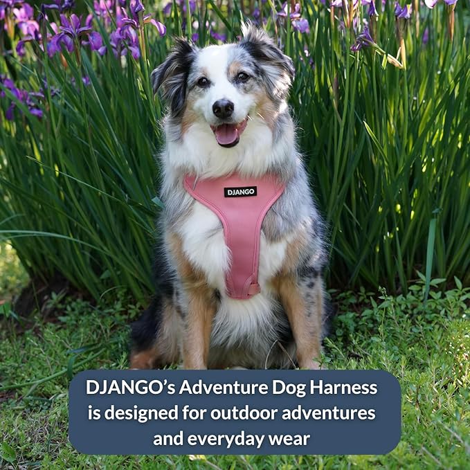 DJANGO Adventure Dog Harness - Stylish, and Durable Medium Dog Harness for Outdoor Adventures and Everyday Wear - Quartz Pink Neoprene Adjustable Harness for Dogs with Reflective Piping, Brass D-Ring