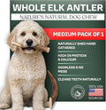 Mountain Valley Elk Antlers for Dogs - 100% Natural & Organic Chew for Aggressive Chewers, No Odor, No Mess, Long Lasting - Wild-Foraged Naturally Shed Antlers in USA - Grade A, Whole Medium (1 Pack)