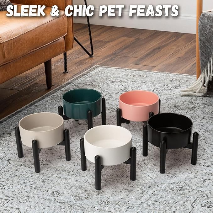Raised Ceramic Dog Bowl - Elevated Food Water Dish with Stainless Steel Stand - for Small to Medium Dogs - 6 Inch - 2 Cups (28.75 fl oz) - White