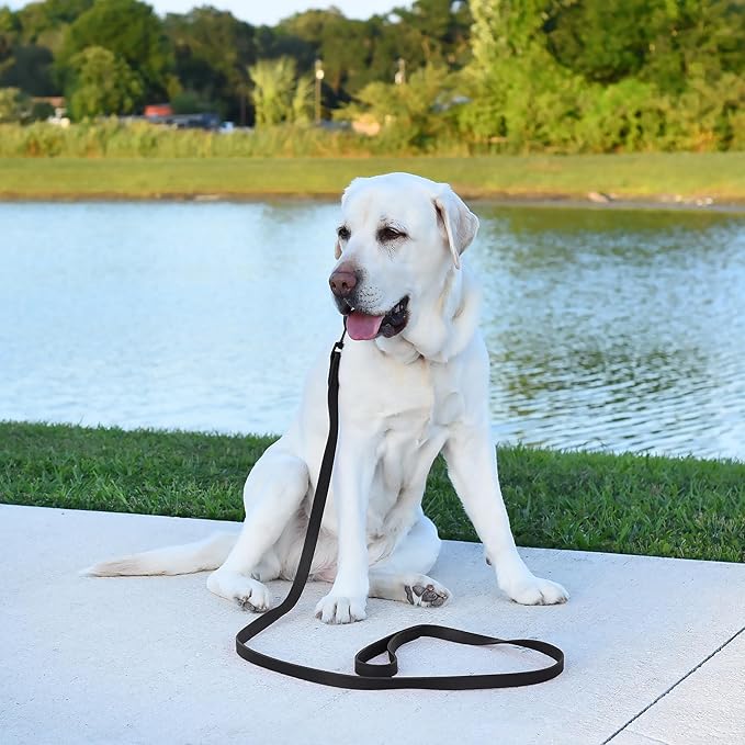 Dogline Biothane Waterproof Dog Leash Strong Coated Nylon Webbing with Black Hardware Odor-Proof Easy to Clean High Performance for Small or Large Dogs Made in USA 2 ft Lead, Black