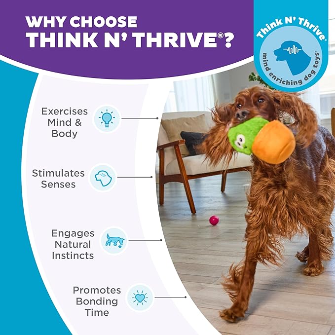 Outward Hound by Nina Ottosson Snack Palz Interactive Plush Dog Puzzle with Treat Ball, Cactus, Green