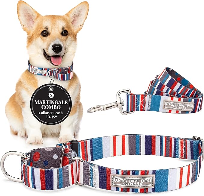 Lucky Love Dog Martingale Dog Collar & Leash - Adjustable, No-Slip, Durable, Comfortable, Soft Webbing, & Stylish Patterned Dog Collar & Leash Set for Male and Female Dogs - Linus Combo, Small
