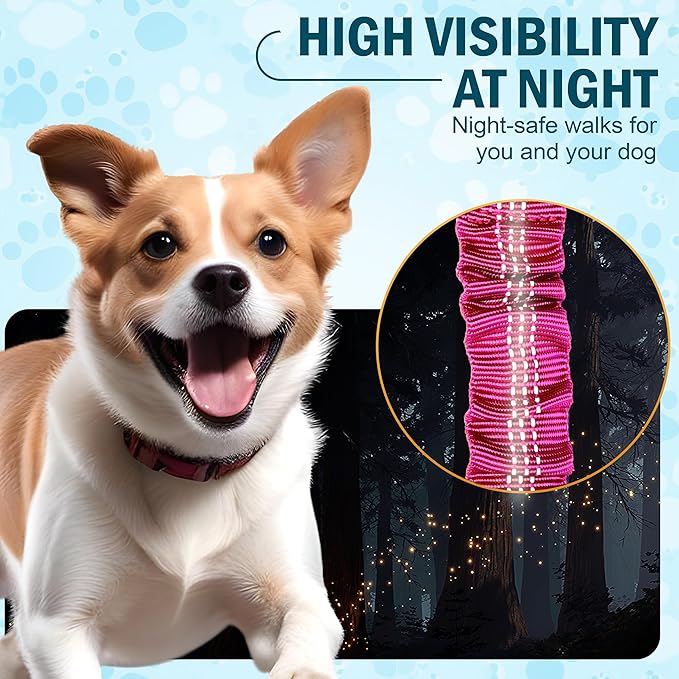 Hands Free Dog Leash for 2 Dogs – Waist Leash for Dog Walking with Dual Bungee, Reflective No Pull Design, Adjustable Belt & Pouch for Running, Hiking, Jogging