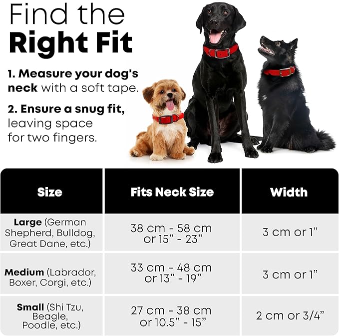 Regal Dog Products Small Red with Custom Engraved Waterproof Dog Collar and Leash Set | Waterproof Dog Collar with Double Buckle & D Ring - 5'ft Leash | Matching Dog Collar and Leash for Dogs