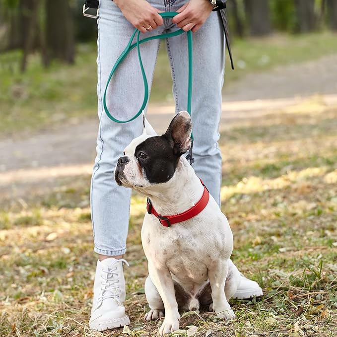 Dogline Biothane Waterproof Dog Leash Strong Coated Nylon Webbing with Black Hardware Odor-Proof Easy to Clean High Performance for Small or Large Dogs Made in USA 2 ft Lead, Blue Aqua