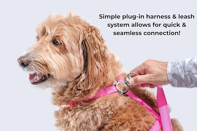 Dog Harness and Leash Combo Set, Magnetic Connection, Ergonomic Design (Bahama Blue, Medium)