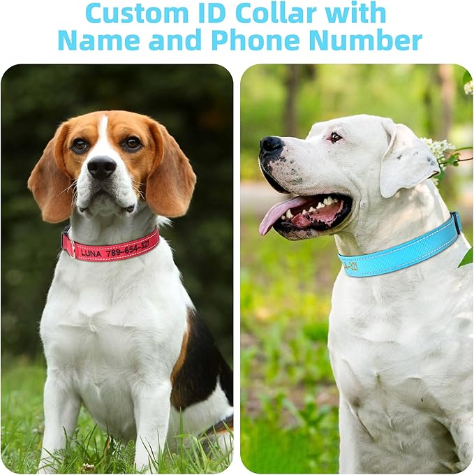 Personalized Dog Collar, Embroidered with Pet Name and Phone Number, Soft Neoprene Padded, Durable Nylon with Quick-Release Buckle Adjustable for Small Medium Large Dogs(Solid with Padded)