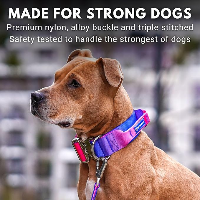 Tactical Dog Collar with Handle - Premium Quality Collar, Robust and Durable Design for Large, Strong Breeds - Pitbulls, Labradors, GSD - Snow Cone - M