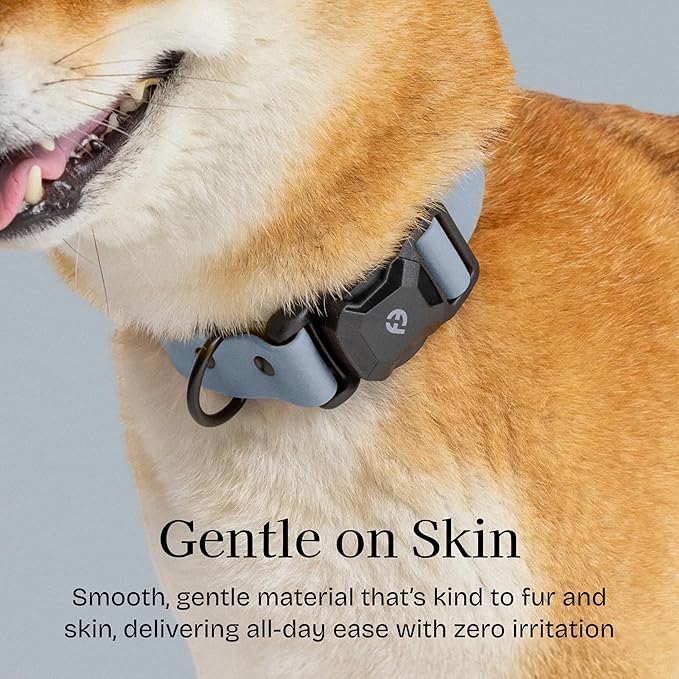 2026 New Edition, Fei & Eve PVC MagEase Dog Collar - Patented Magnetic Buckles | Fur-Safe | 450LB Escape-Proof | Adjustable Fit | Small (Dusk Blue)