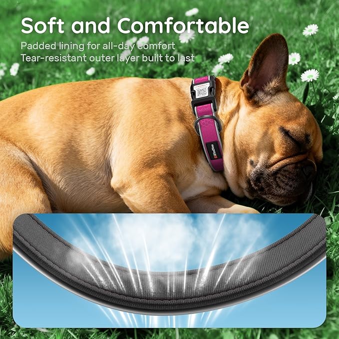 Reflective Dog Collar with QR Code Tag, Personalized Dog Collar, Safety Night Visibility, Anti-Loss Function (Rose Red-02, Medium)