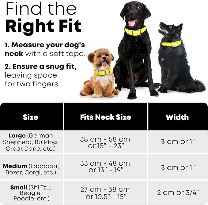 Regal Dog Products Medium Yellow Waterproof Dog Collars with Custom Engraved Name Plate | Vinyl Coated, Anti, Easy to Clean Personalized Biothane Dog Collar - Other Sizes for Small & Large Dogs