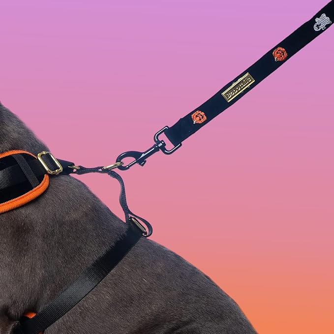 5 FT Stylish Dog Leash, Soft Dog Leashes with Comfortable Padded Handle, Metal Carabiner Clip, Strong No Pull Pet Leash for Small Medium Dogs for Walking, Shopping and Running