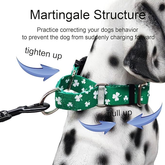 St.Patrick's Day Martingale Collar for Dogs with Buckle Adjustable Shamrock Spring Holiday Dog Collar (Clover, Large)