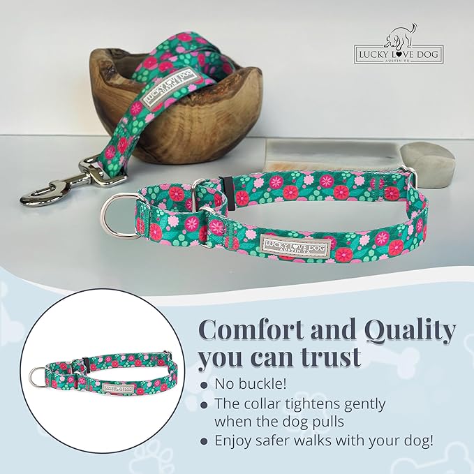 Lucky Love Dog Martingale Dog Collar - Adjustable, No-Slip, Durable, & Soft Webbing Collar for Male and Female Dogs Ideal for Training & Walking - Penny, Medium