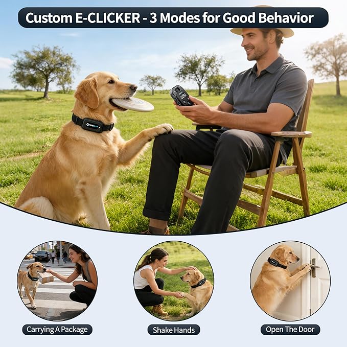 ABBIDOT Dog Shock Collar, 4100FT Dog Training Collar with Remote，IPX7 Waterproof Rating，6 Training Modes (Beep, Vibration, Safe Shock), Enhanced Night Light, Rechargeable E-Collar for Dogs 10-120 lbs