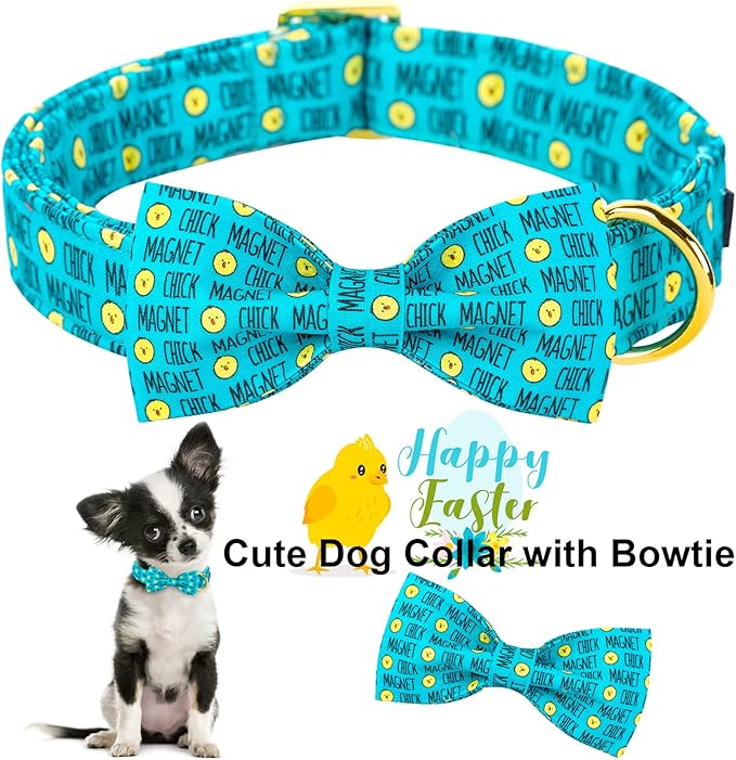 ARING PET Easter Dog Collar with Bow, Cute Adjustable Blue Chick Bowtie Pet Collars with Metal Buckle for Puppy Small Medium Large Boy Girl Dogs-M