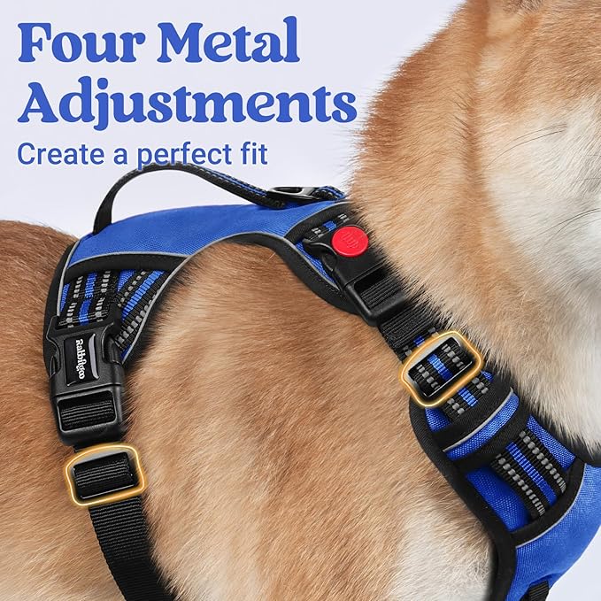 rabbitgoo Dog Harness Medium Sized, No Pull Pet Harness with Soft Padded Handle, Adjustable Reflective Vest with 3 Buckles, Easy Walking Harness with 2 Leash Clips, Blue, XL