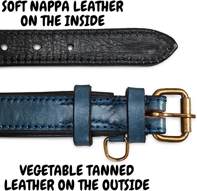 Real Leather Dog Collar Padded Soft Interiors with Premium Vintage Look Handcrafted Heavy Duty with Tag Ring for Small Medium and Large Pets (Small (1" Wide for 10.75" - 13.75" Neck), Ocean Blue)