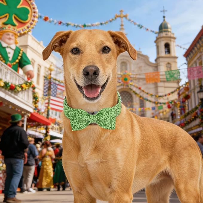 Lionheart glory St. Patrick's Day Dog Collar with Bowtie - Cute Lucky Clover Shamrock Dog Bow Collar, Soft Adjustable Collars Green Spring Trefoil Collars Bowtie for Small Dogs Puppy