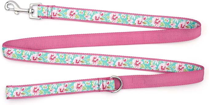 THE WORTHY DOG 5 FT Nylon Dog Leash for Medium to Large Dogs, Metal Quick Clip, Watercolor Floral Pattern, Teal, Large