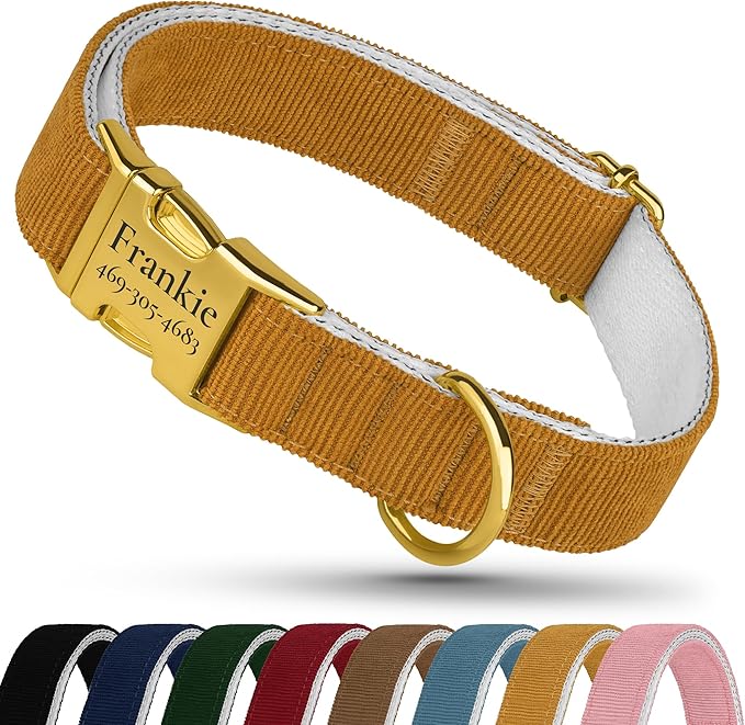 Personalized Dog Collar with Gold Metal Buckle, Velvet Custom Dog Collars for Small, Medium & Large Dogs – Puppy Collars with Metal Buckle, 4 Sizes, 8 Colors (Light Brown, M, 12"-15")