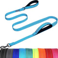 VIVAGLORY Twingrip Dog Leash, Double Handle Dog Leash for Training & Walking with Traffic Handle & 2 Loop, Traffic Control Reflective Heavy Duty for Puppy Pet, 5ft x 1in, Lake Blue