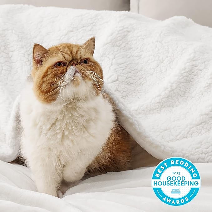 Bedsure GentleSoft Sherpa Fleece Blankets King Size for Bed, Non-Heated, Thick and Warm Throw for Women and Men, Soft Fuzzy Plush King Blanket for Winter, White, 108x90 Inches